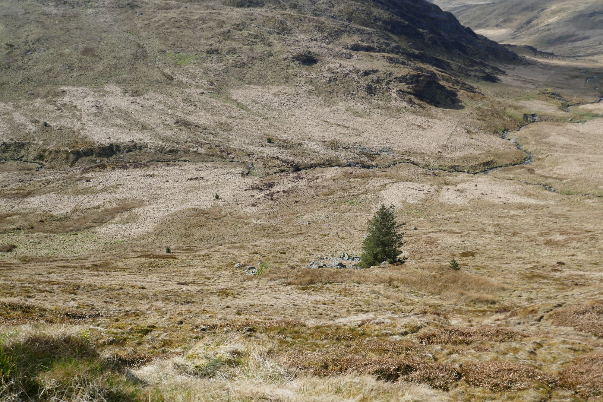 RachelSeabrook.net | Wild Walking | Cwm Gwerin | pic23